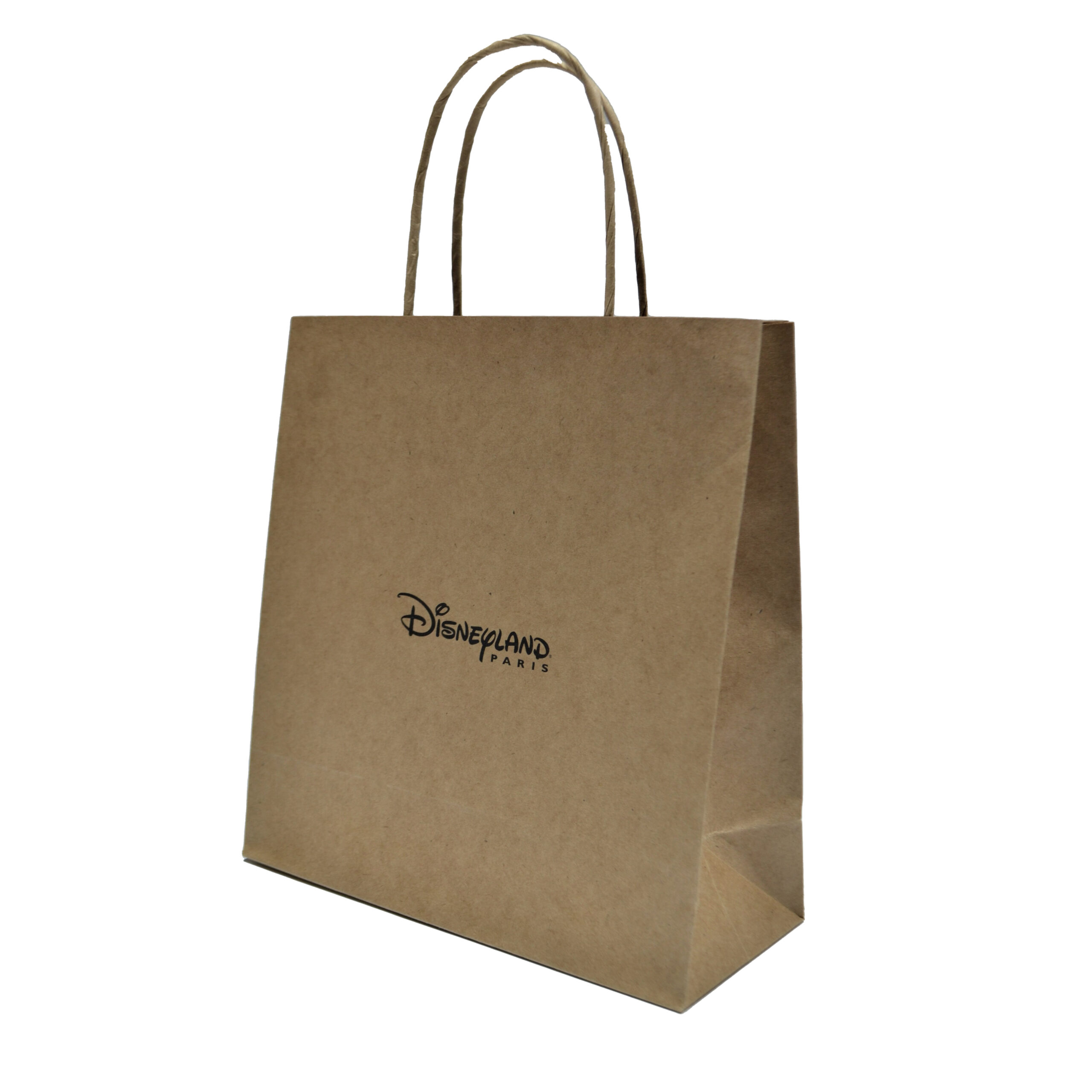 Disneyland Twisted Handle Paper Bag