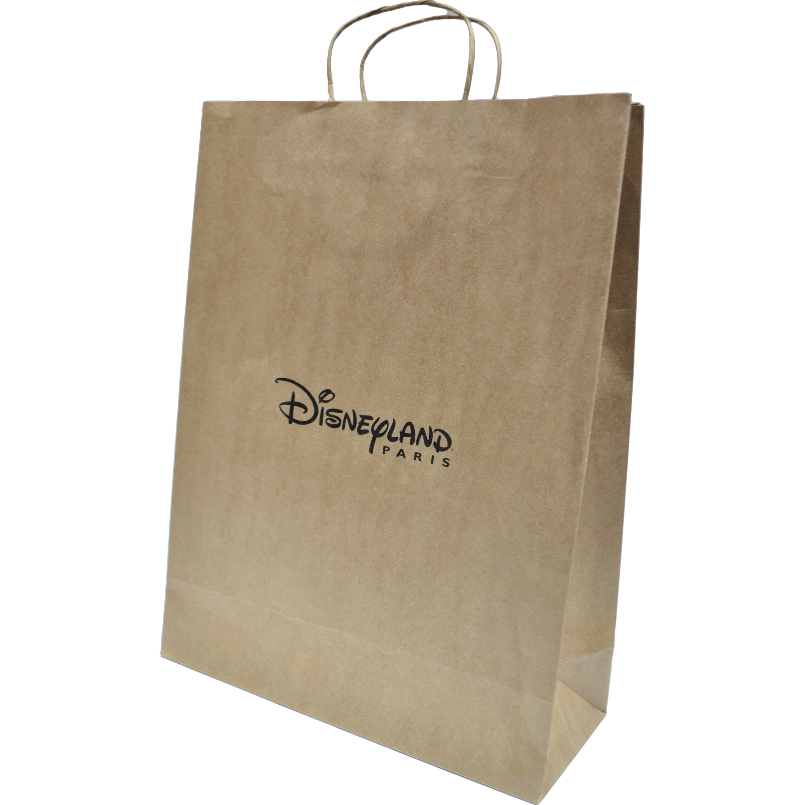 Disneyland Twisted Handle Paper Bag