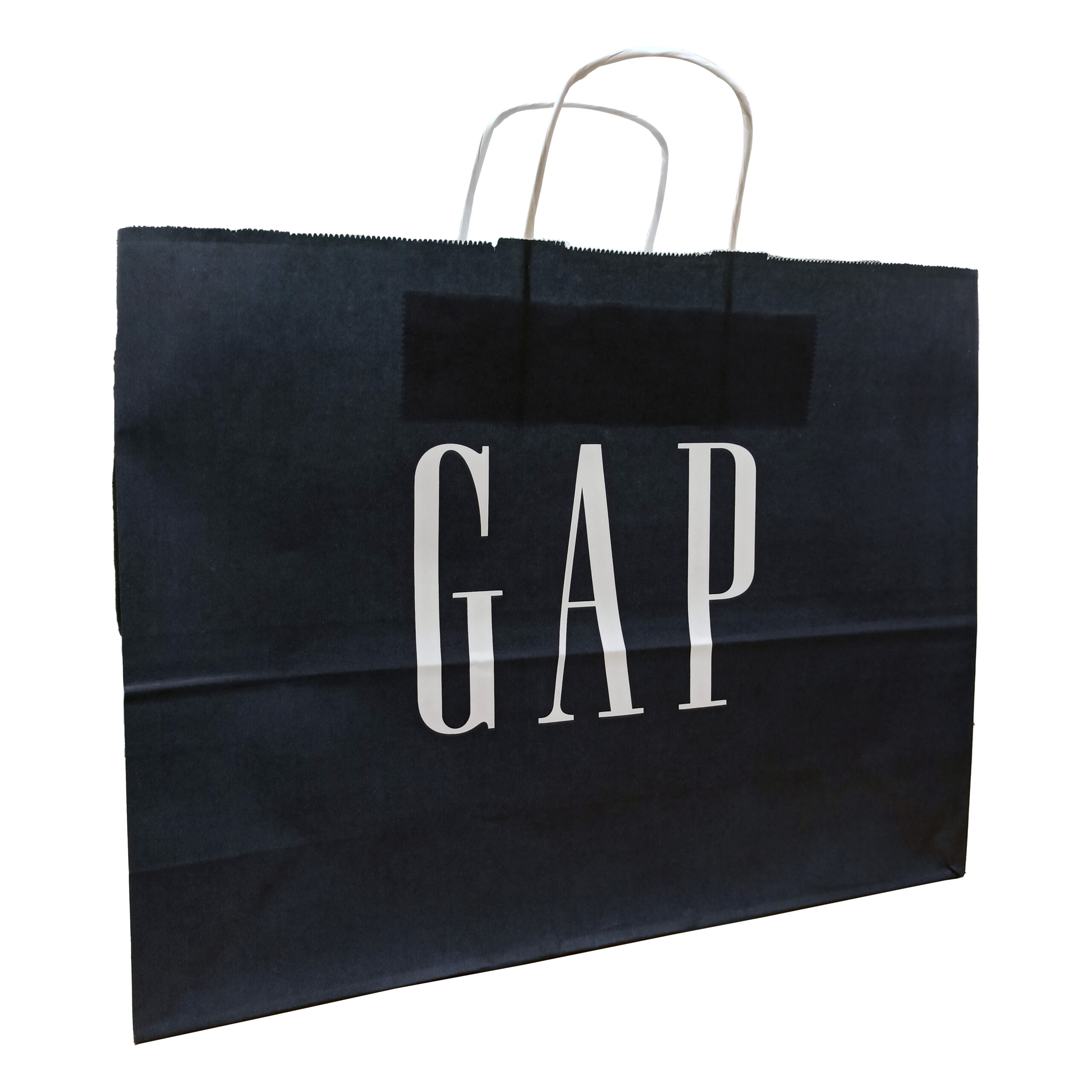 Gap Twisted Handle Paper Bag